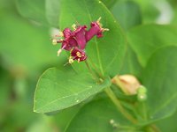 �`�V�}�q���E�^���{�N