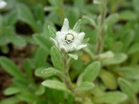 �`�V�}�E�X���L�\�E