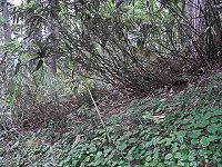 �`�V�}�U�T