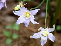 �g�K�N�V�V���E�}