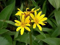 �G�]�^�J���R�E