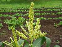 �g�E�����R�V