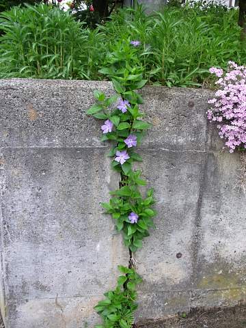 �c���j�`�j�`�\�E