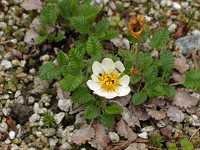 �`���E�m�X�P�\�E