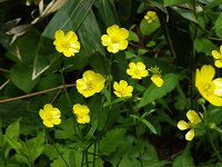 �E�}�m�A�V�K�^