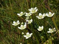 �E���o�`�\�E