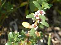 �E�~�~�h��