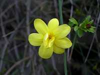 �E���i���I�E�o�C