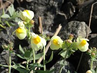 �E������