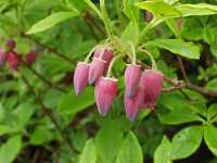 �E���W�����E���N