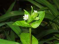 �E�V�n�R�x