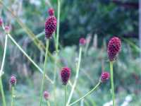 �������R�E