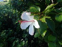 �R�L�I�E�P�I�P�I