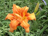 ���u�J���]�E