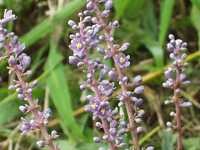 ���u����