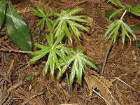 ���u���K�T