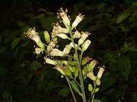 ���u���K�T