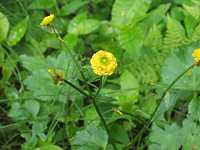 ���G�L���|�E�Q