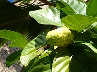 ���G���}�A�I�L