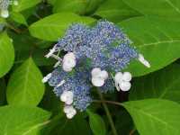 ���}�A�W�T�C