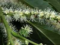 ���}�O��