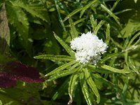 ���}�n�n�R