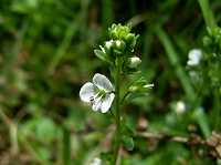 ���}�N���K�^