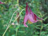 ���}�I�_�}�L