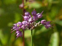 ���}���b�L���E