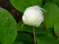 ���}�V���N���N