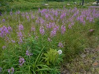 ���i�M����