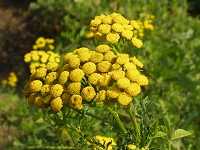 �����M�M�N