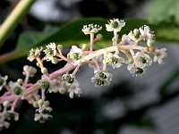 �m��R����