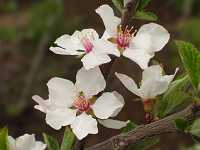 ���X���E��