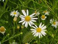 ���E�K�M�N