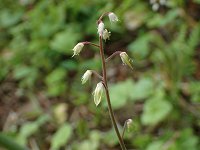 �Y�_���N�V��