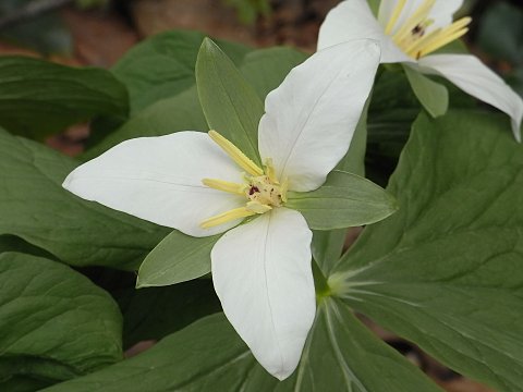 �I�I�o�i�m�G�����C�\�E