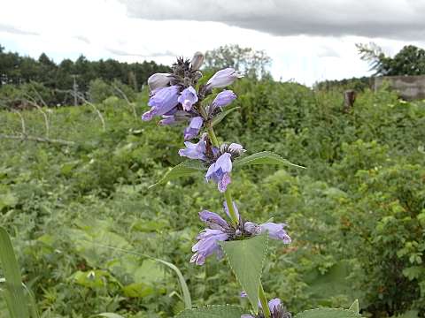 �~�\�K���\�E