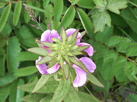 �V�I�K�}�M�N