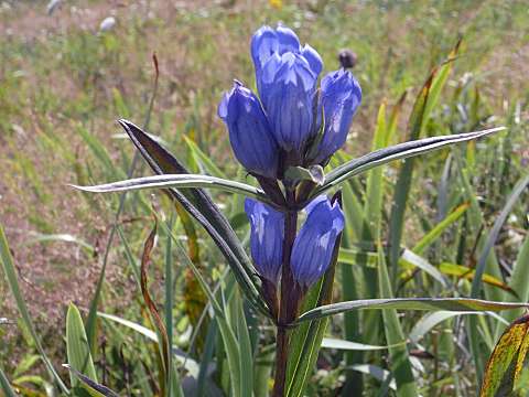 �G�]�����h�E