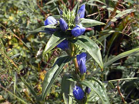 �G�]�����h�E