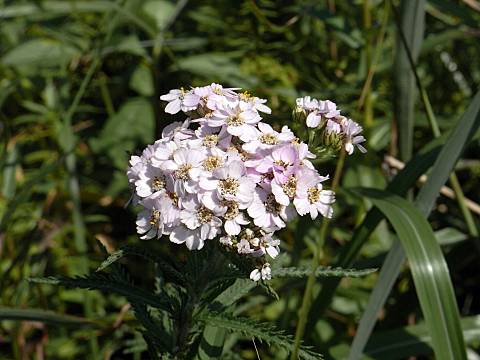 �m�R�M���\�E