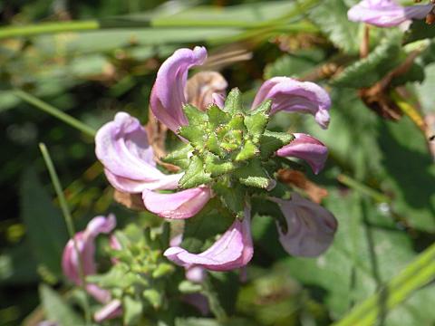 �V�I�K�}�M�N