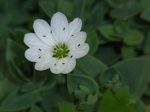 �V�R�^���n�R�x