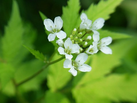 �R�������\�E