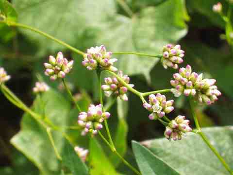 �A�L�m�E�i�M�c�J�~