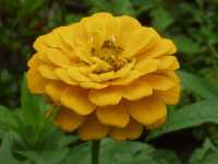 �q���N�j�`�\�E