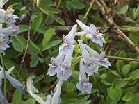 ���}�G���S�T�N