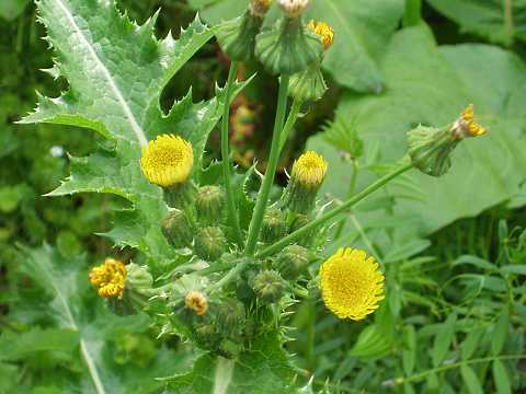 �I�j�m�Q�V