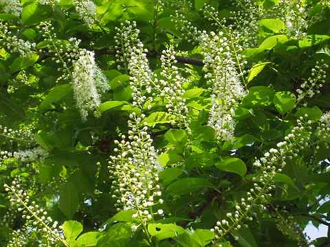 �E���~�Y�U�N��